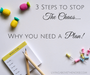 3 Steps To Stop The Chaos…Why You Need A Plan!