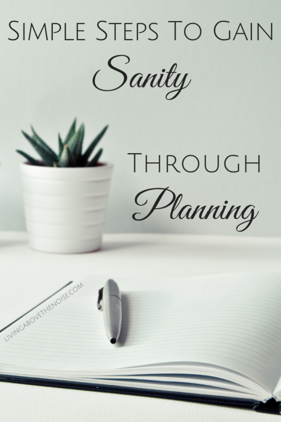 Simple Steps To Gain Sanity Through Planning Living Above The Noise